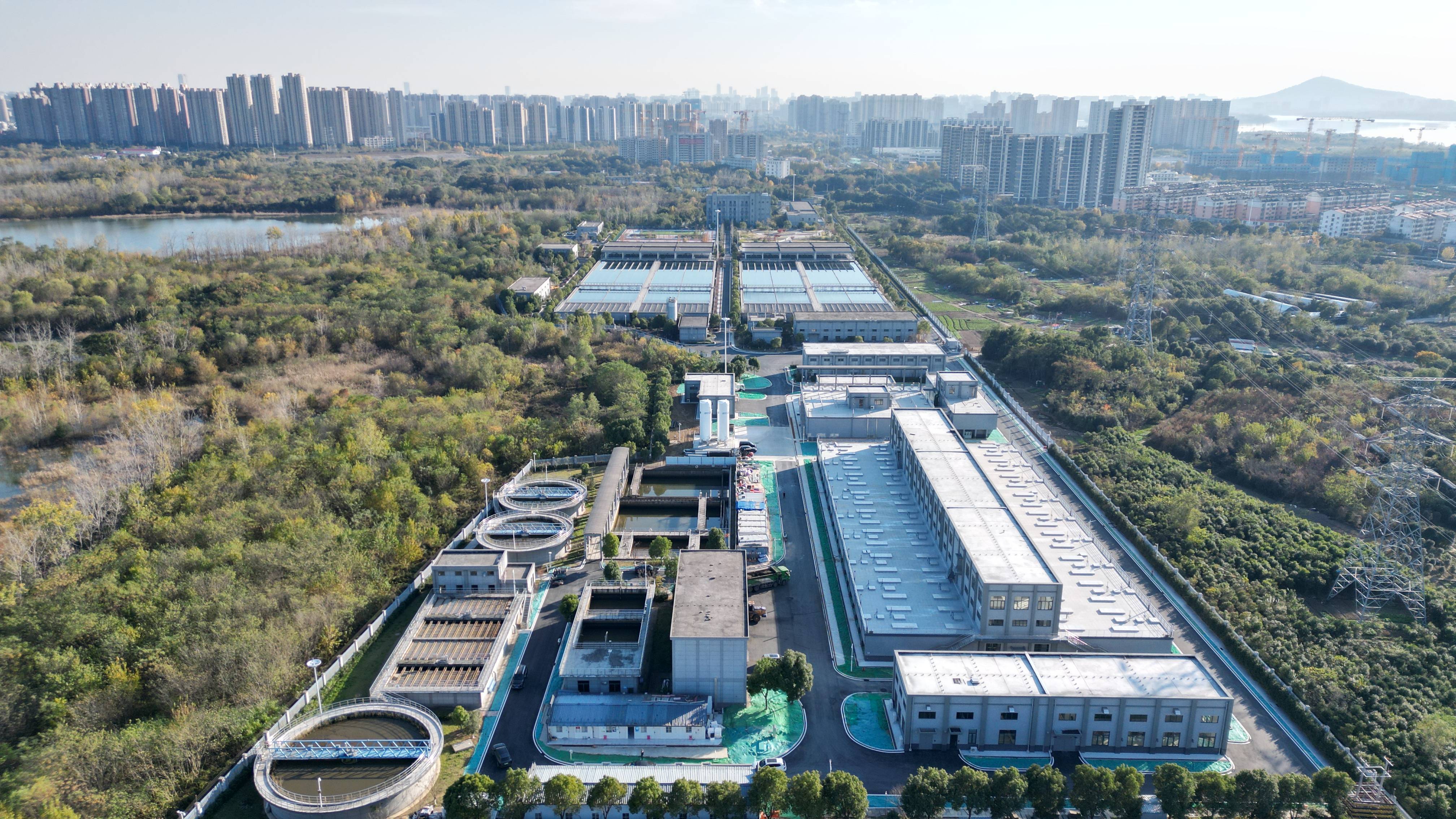 抚顺市合肥专业企业价值增长(合肥市重点企业产业目录)
