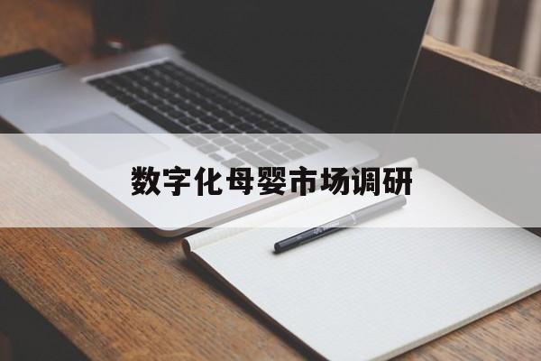 抚顺市数字化母婴市场调研(数字化母婴市场调研报告)